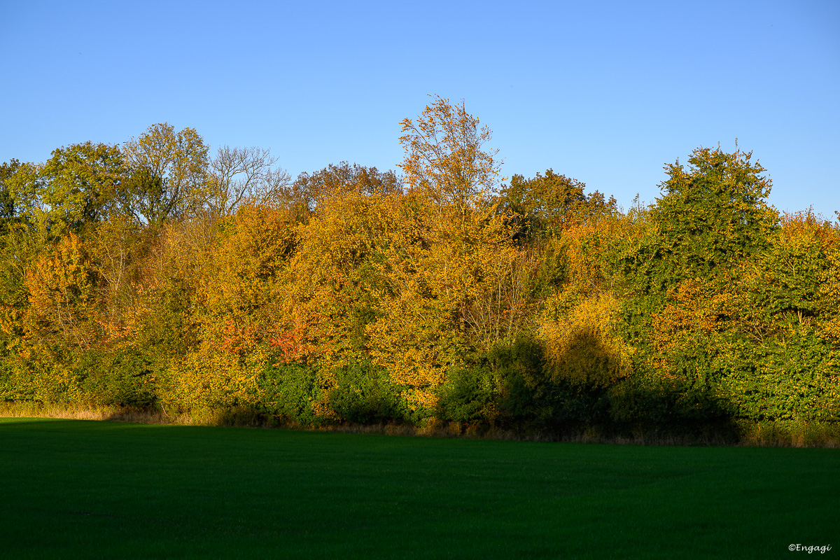 DSC_0682.jpg