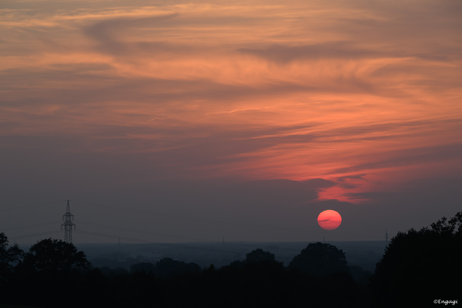 DSC_0575.jpg