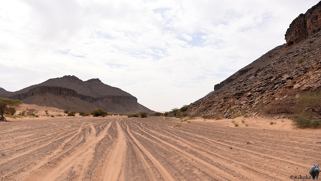 Das Bild zeigt ein Tal mit flachen Talboden. Der helle Sand ist mit einer Schicht dunkler Steine überzogen. Darin sind viele parallele Autospuren. Das Tal führt auf einen Berg aus dunklen Felsen zu. Am rechten Bildrand ist ein Geröllhang mit einer steilen Felswand am Hangabschluss.