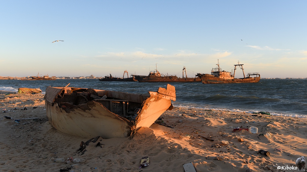 Das Bild zeigt ein weißes Beiboot eines Fischtrawlers am Strand. Die Bugspitze und die Seitenkannten sind ausgefressen. Im Hintergrund dümpeln verrostete Fischtrawler in Strandnähe.