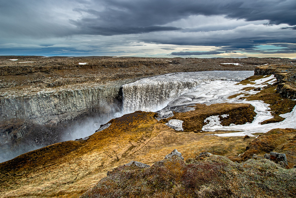 DSC_8169-XL.jpg