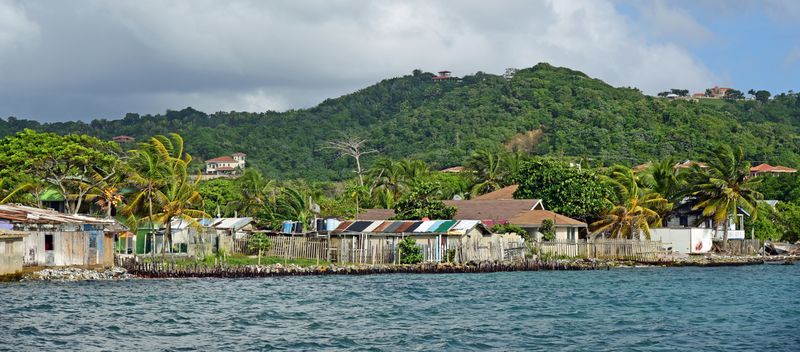 d75_0350.jpg