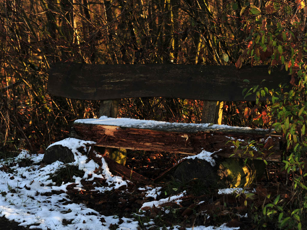 DSC_1879.jpg
