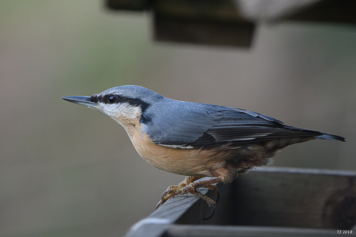 DSC_0883.jpg