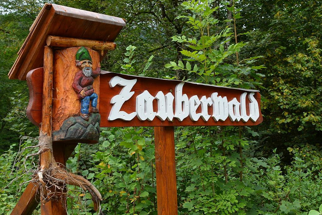 Zauberwald.jpg