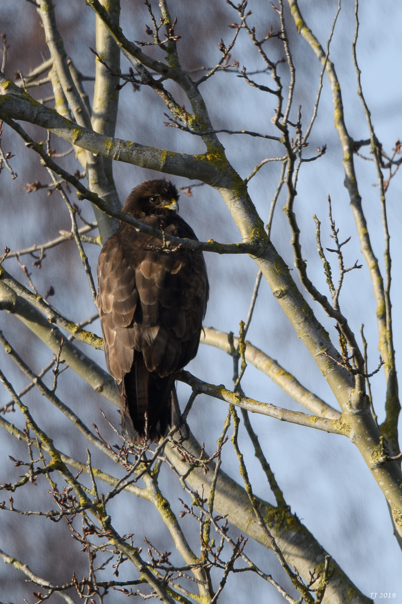 DSC_7055.jpg