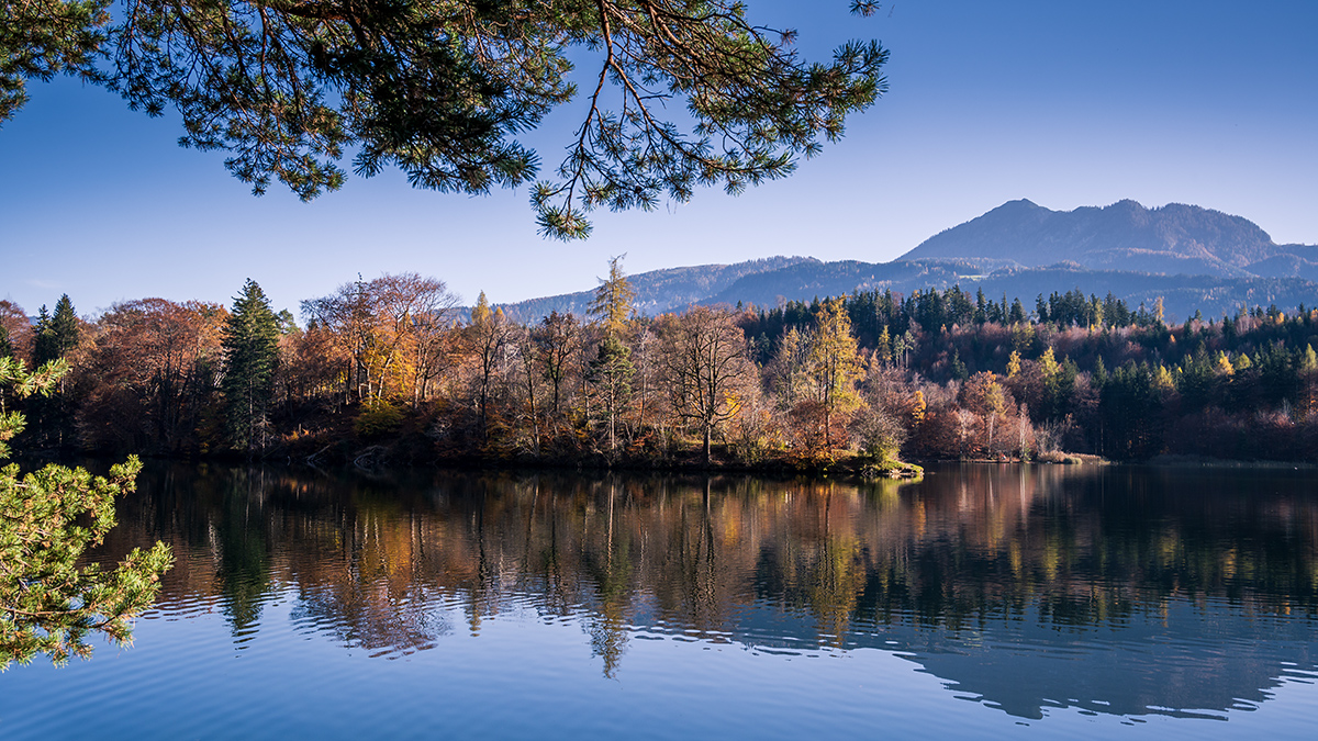 20201109_NZ7_1809wNF.jpg