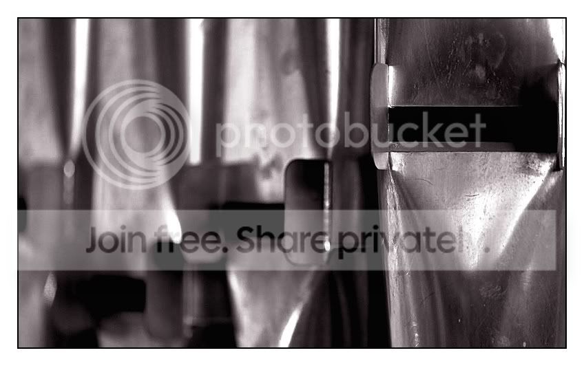 comp_DSC_1823.jpg