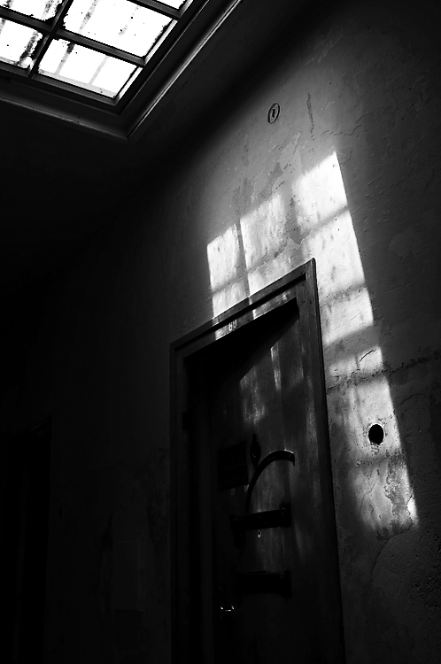 Zelle_4484.jpg