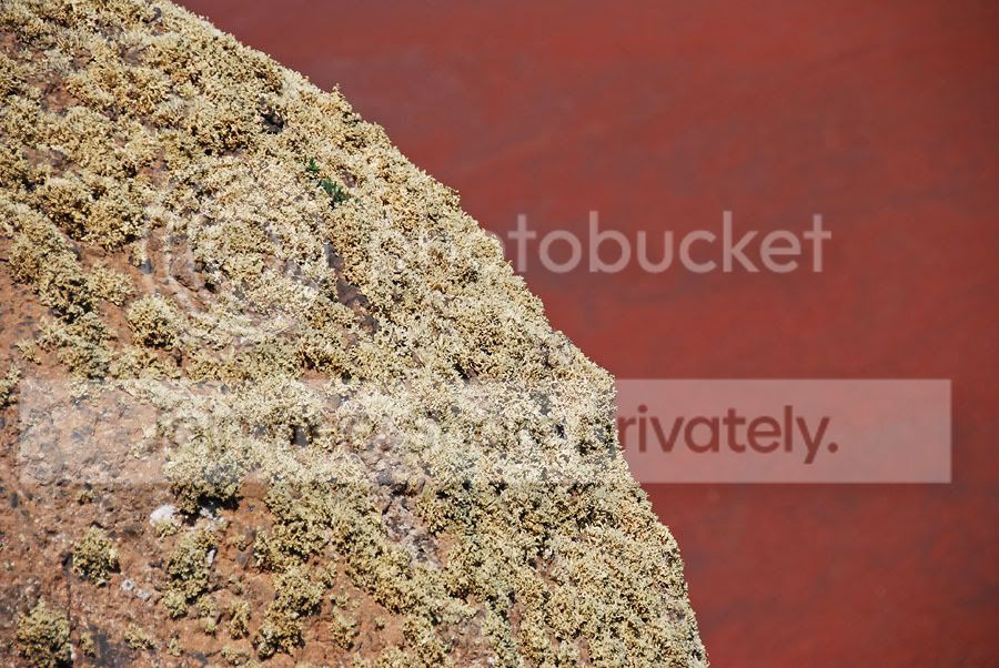 DSC_0385_neu_klein.jpg
