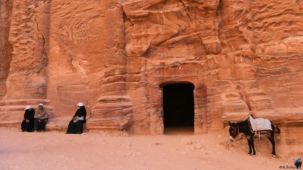Esel vor dem Eingang einer Grabstelle