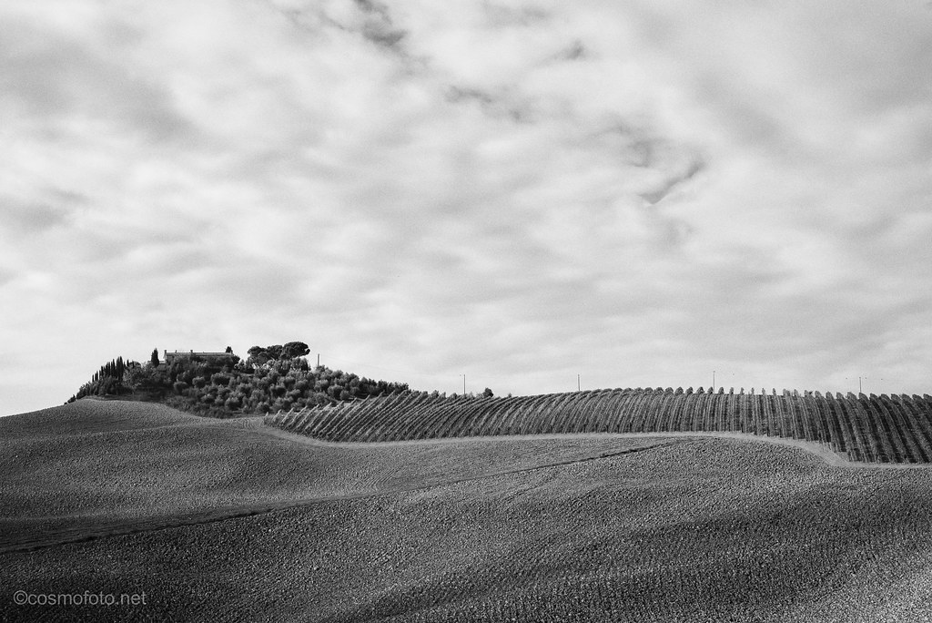 15780601179_6a6b52ca68_b.jpg