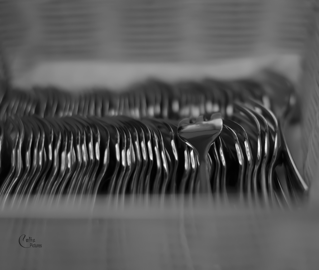 17080584860_589a720f99_b.jpg