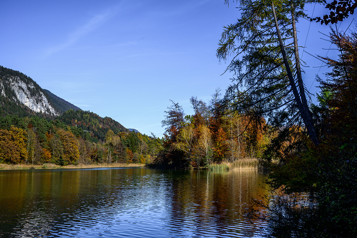 20211031_NZ7_2504NF.jpg