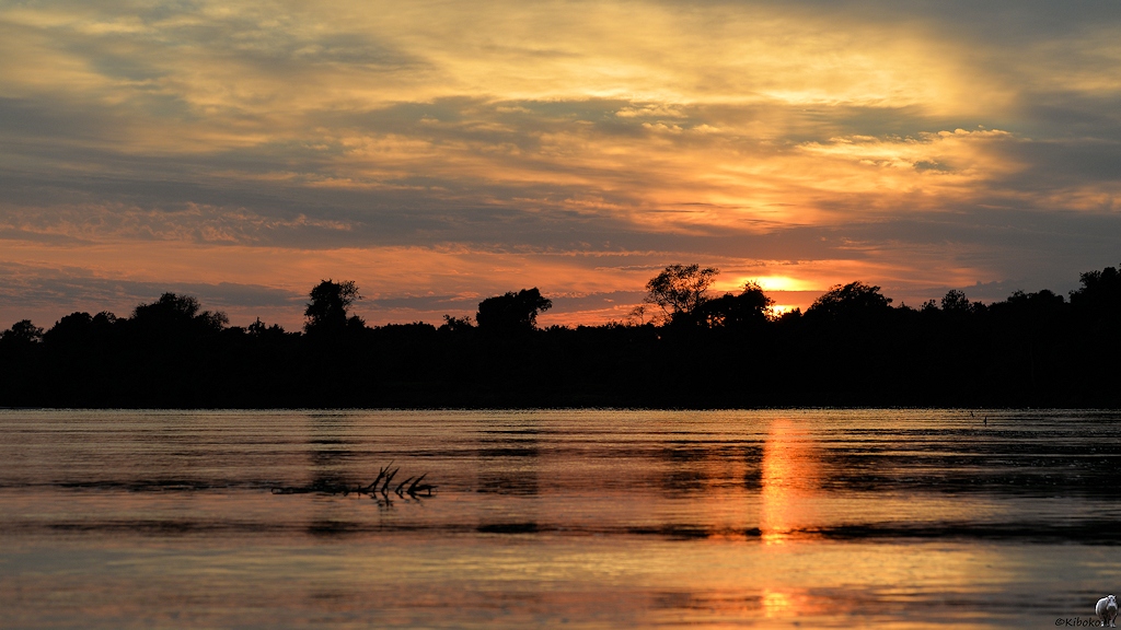 Sonnenaufgang auf dem Fluss