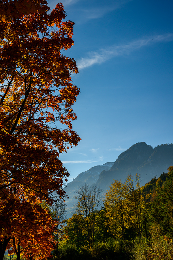 20211018_NZ7_1524NF.jpg