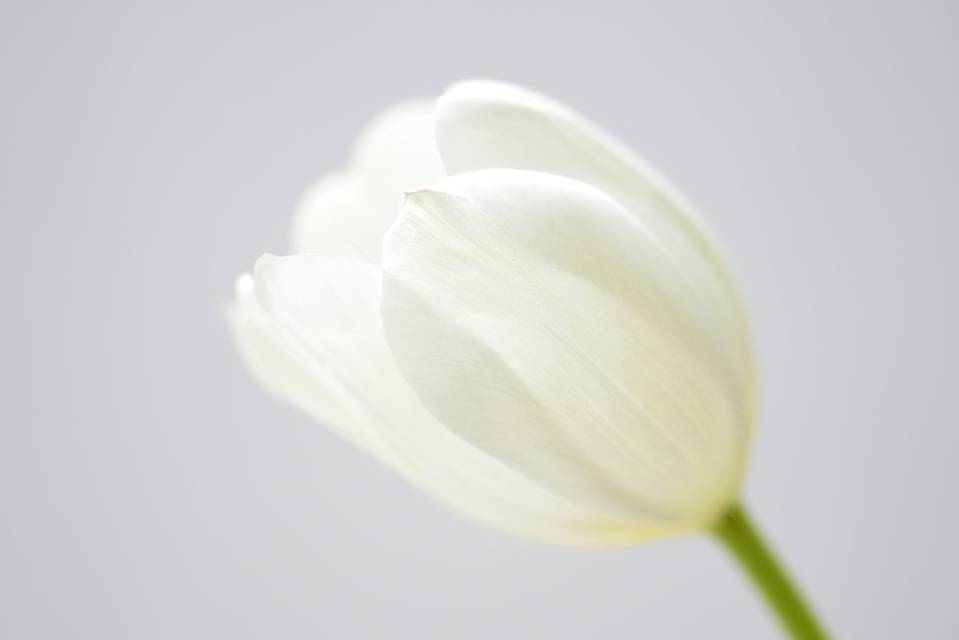 ec8c8c88b954437df6a438b279ee95c2.jpg