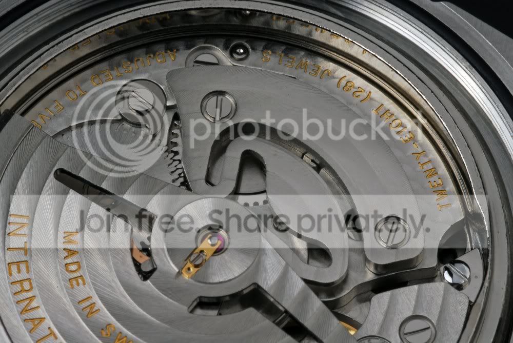 IWC_80110_09.jpg