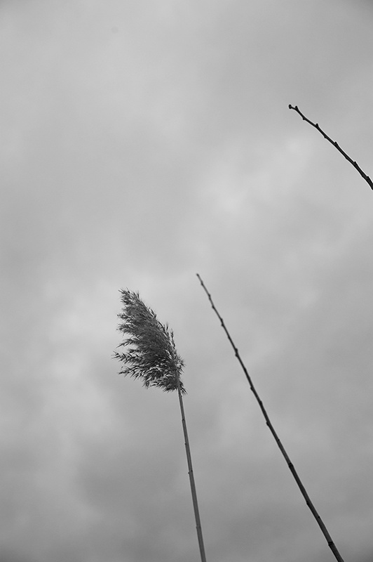 regensachen-16.jpg