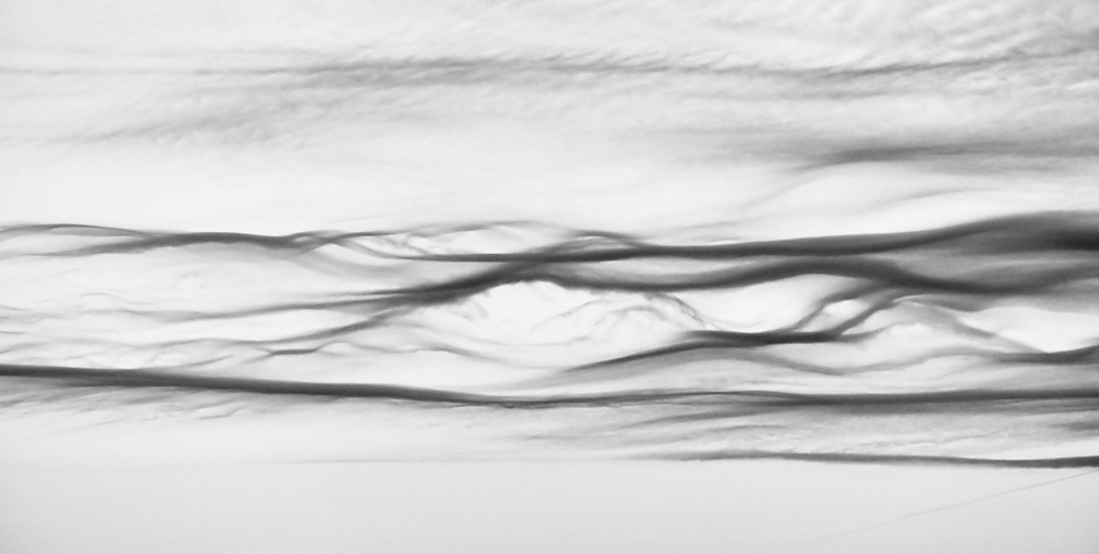 39733984175_d912626389_o.jpg