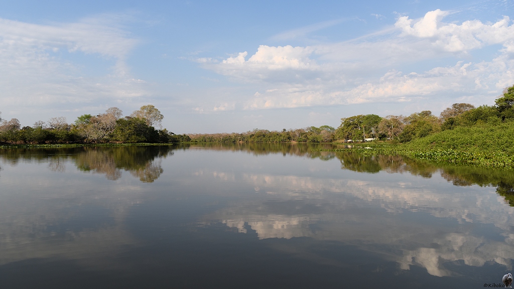 Wolken spiegeln sich im Fluss.