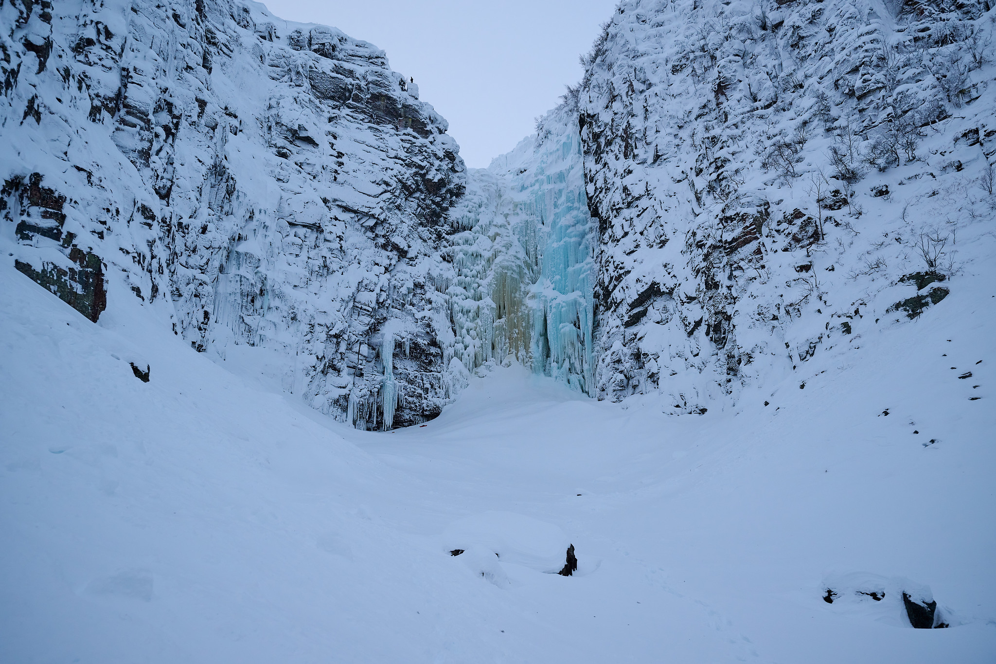 DSC_2780-X4.jpg