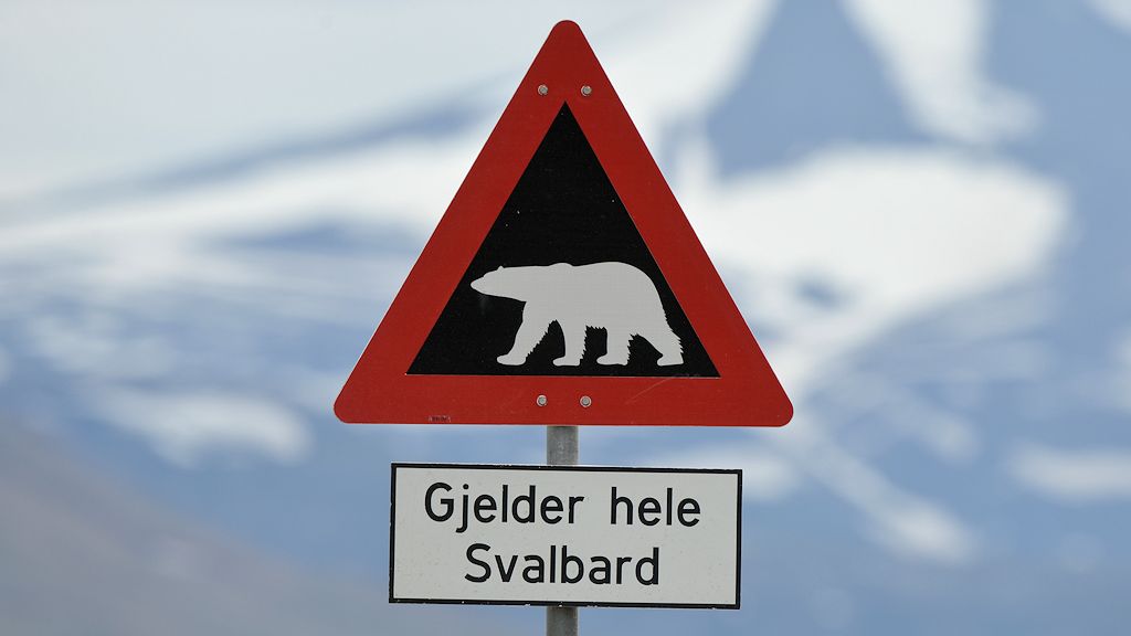 Das Bild zeigt ein dreieckiges Schild mit der Spitze nach oben und rotem Rand. Darauf ist ein weißer Bär auf schwarzem Grund. Darunter ist ein rechteckgiges Zusatzschild mit dem Text: Gjelde heler Svalbard.