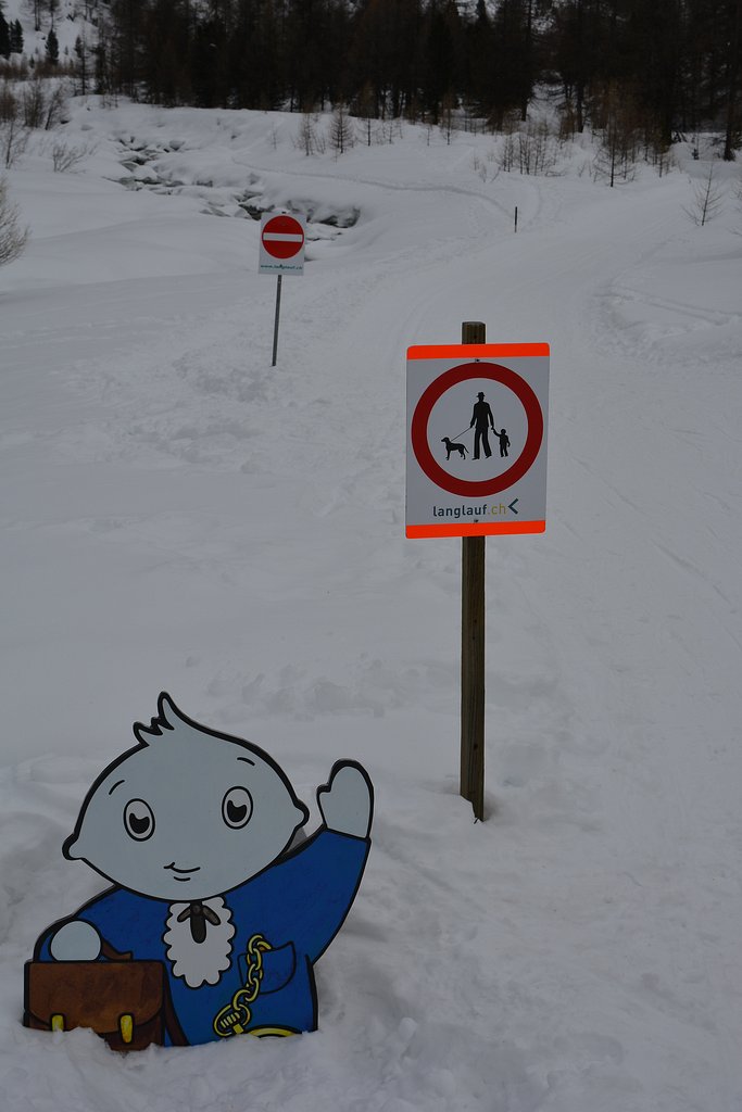 langlauf.jpg