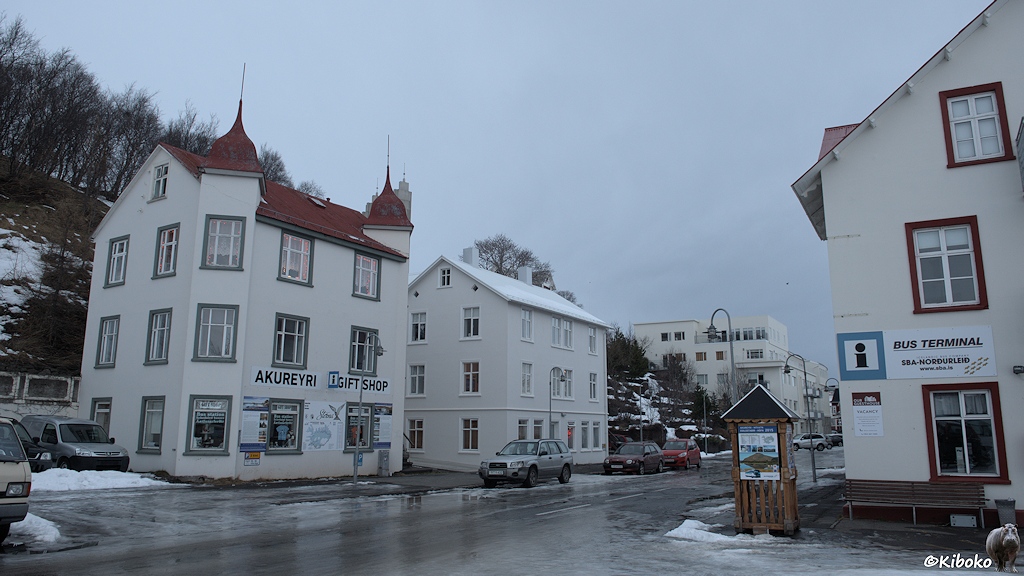 An einer regennassen Straße steht ein dreistöckiges weißes Haus mit roten Dach und Ecktürmchen. Es trägt die Aufschrift Akureyri Gift Shop.