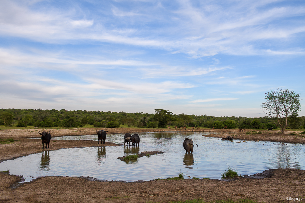 Uganda%202480.jpg