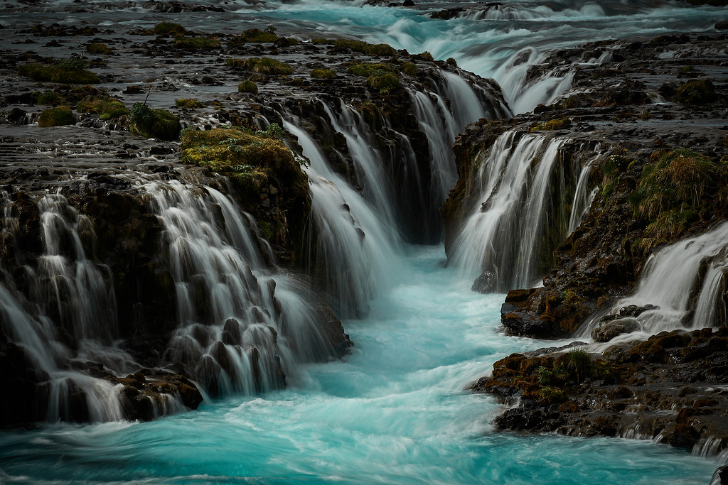 DSC_1204-XL.jpg