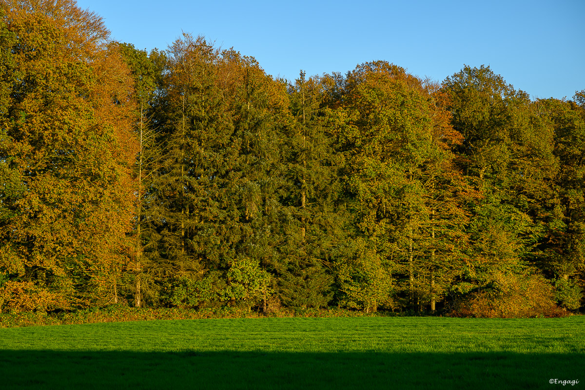 DSC_0696.jpg