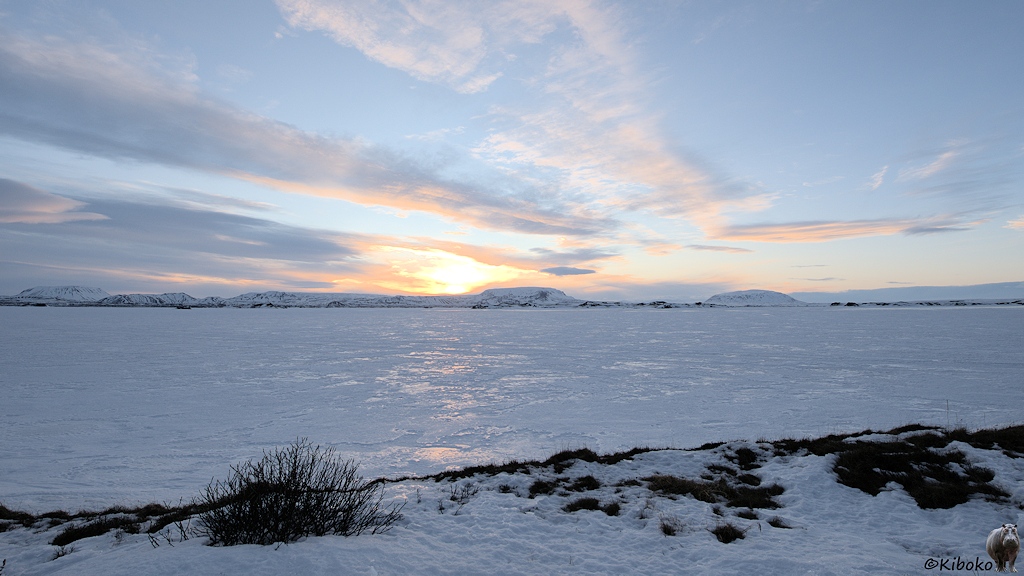 Über einem vereisten See geht die Sonne auf. Im Vordergrund schaut ein kleiner Busch und ein paar Grasbüschel aus dem Schnee.
