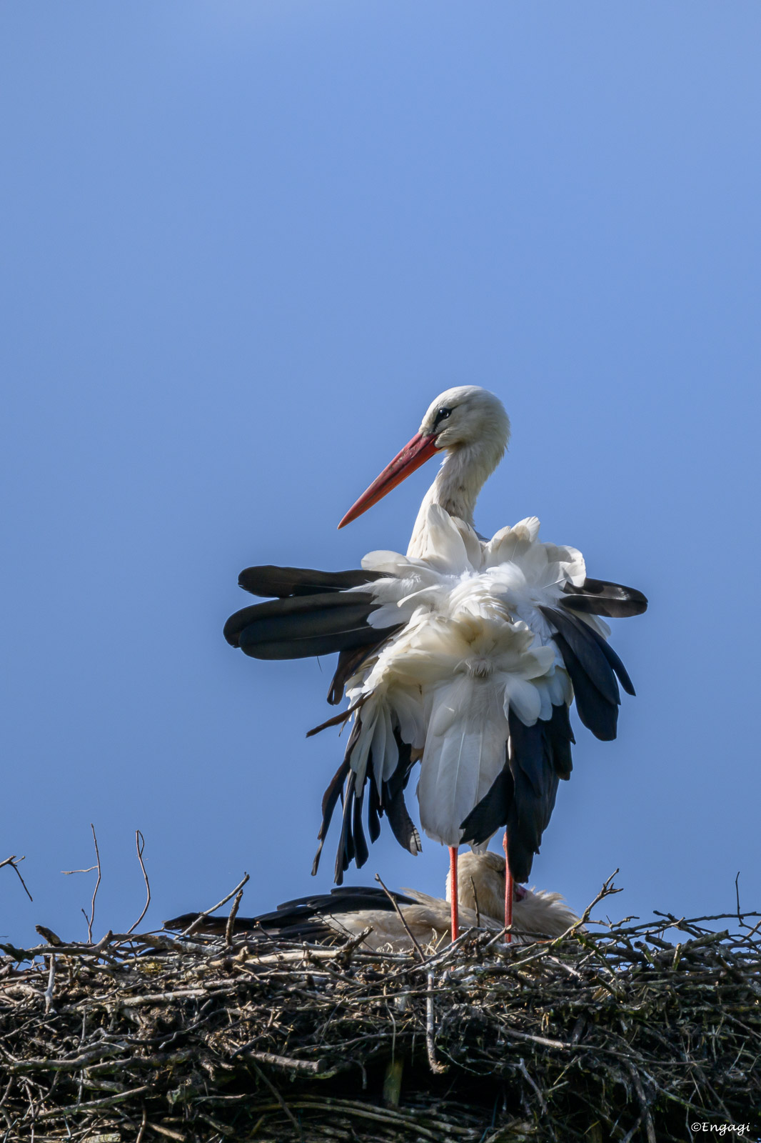 DSC_7709.jpg