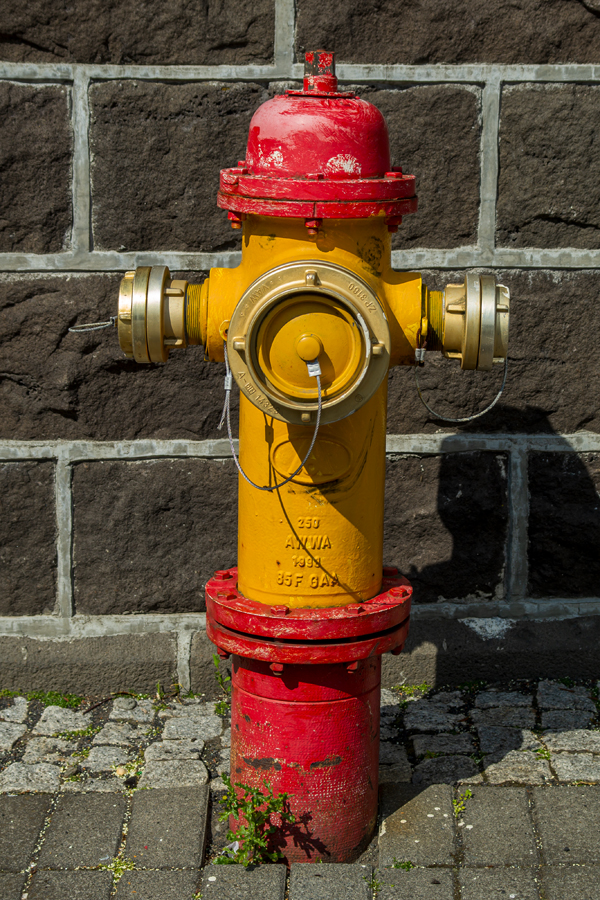 20150708_A99_0172NF.jpg