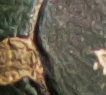 9439644rtp.jpg