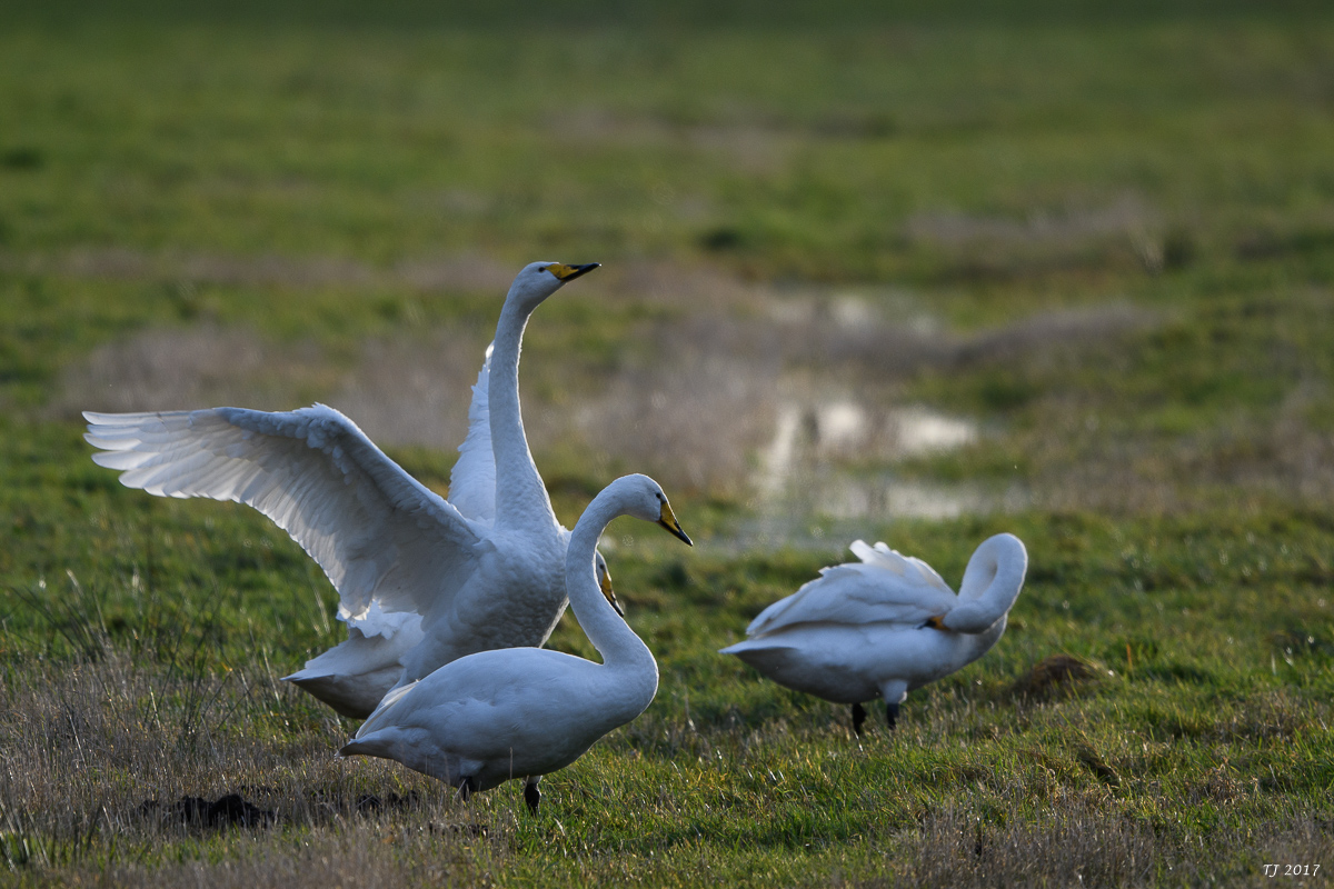 DSC_0294.jpg