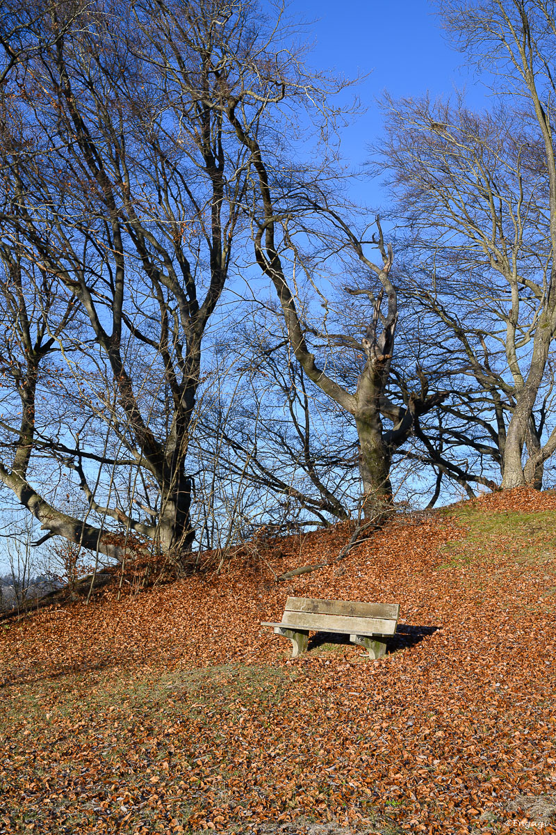 DSC_1153.jpg