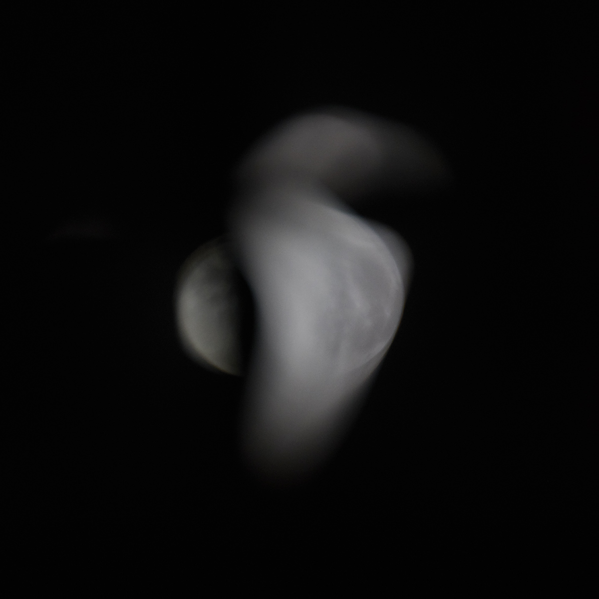 49770603841_6a2fa5db03_o.jpg