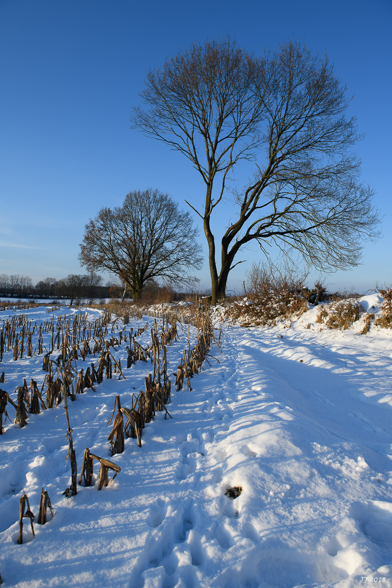 DSC_0559.jpg