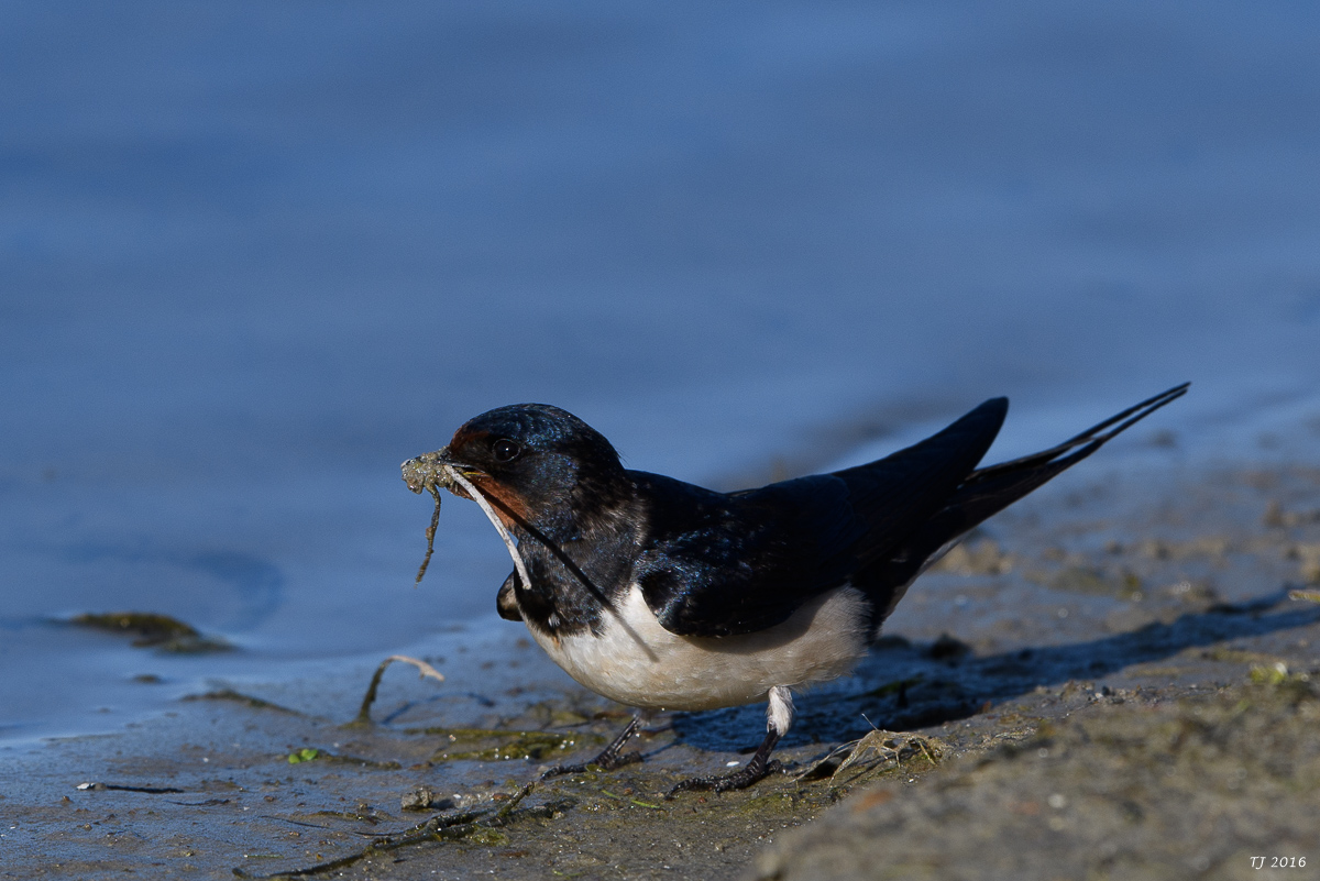 DSC_0438.jpg
