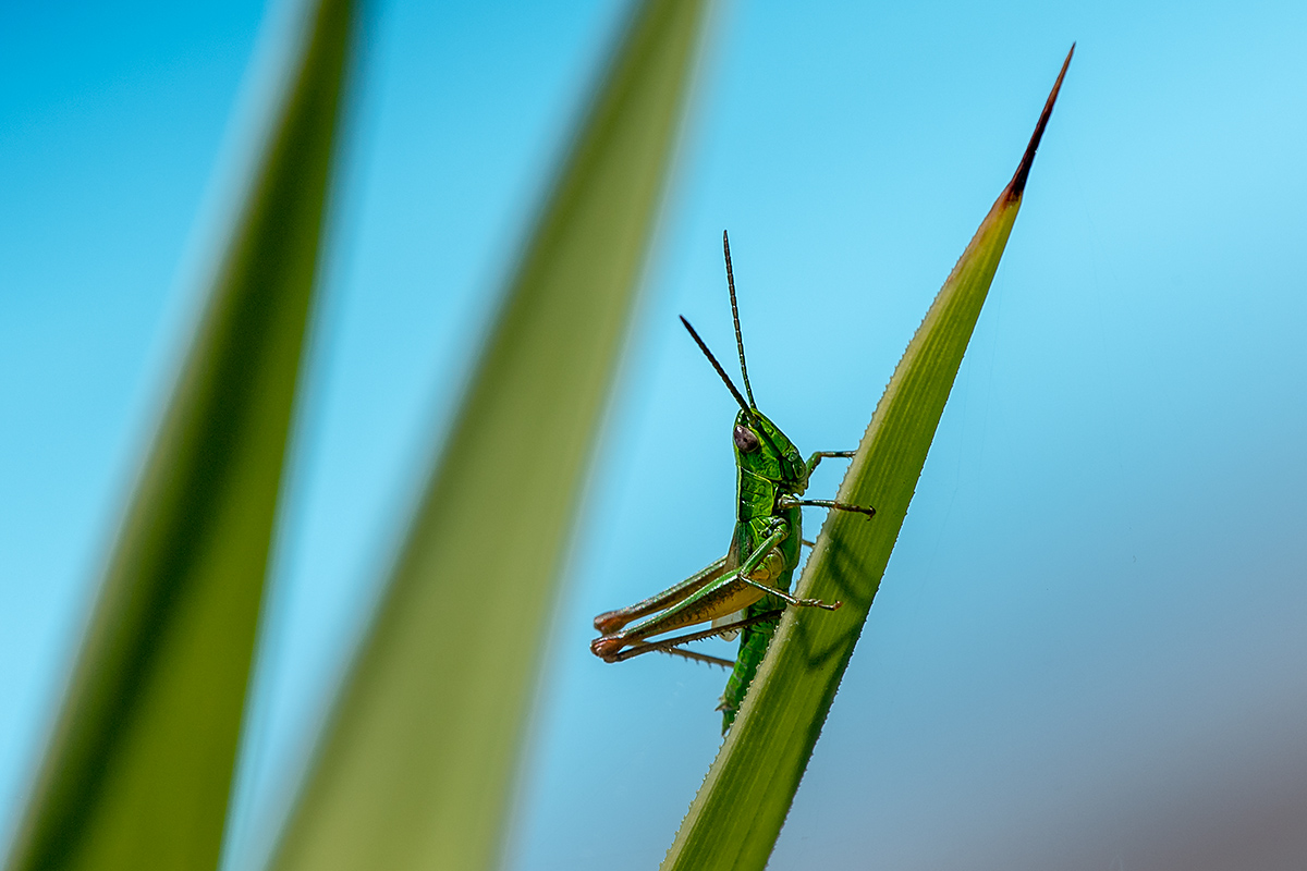 20180620_ND5_2271NF.jpg