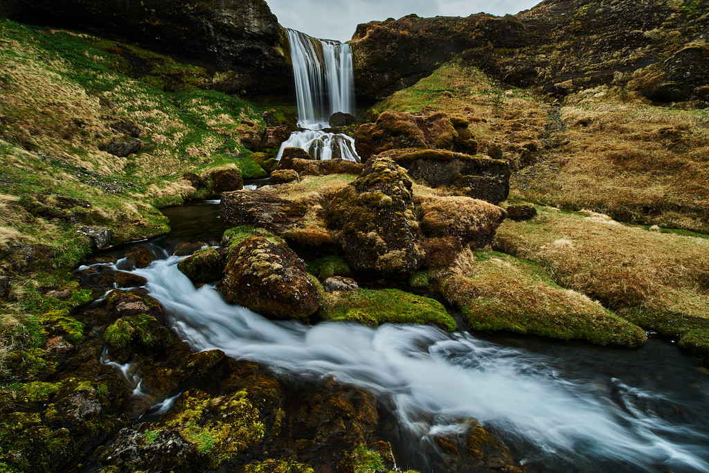 DSC_9730-XL.jpg