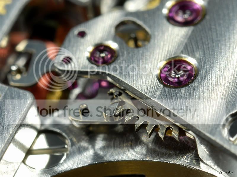 5035-detail.jpg