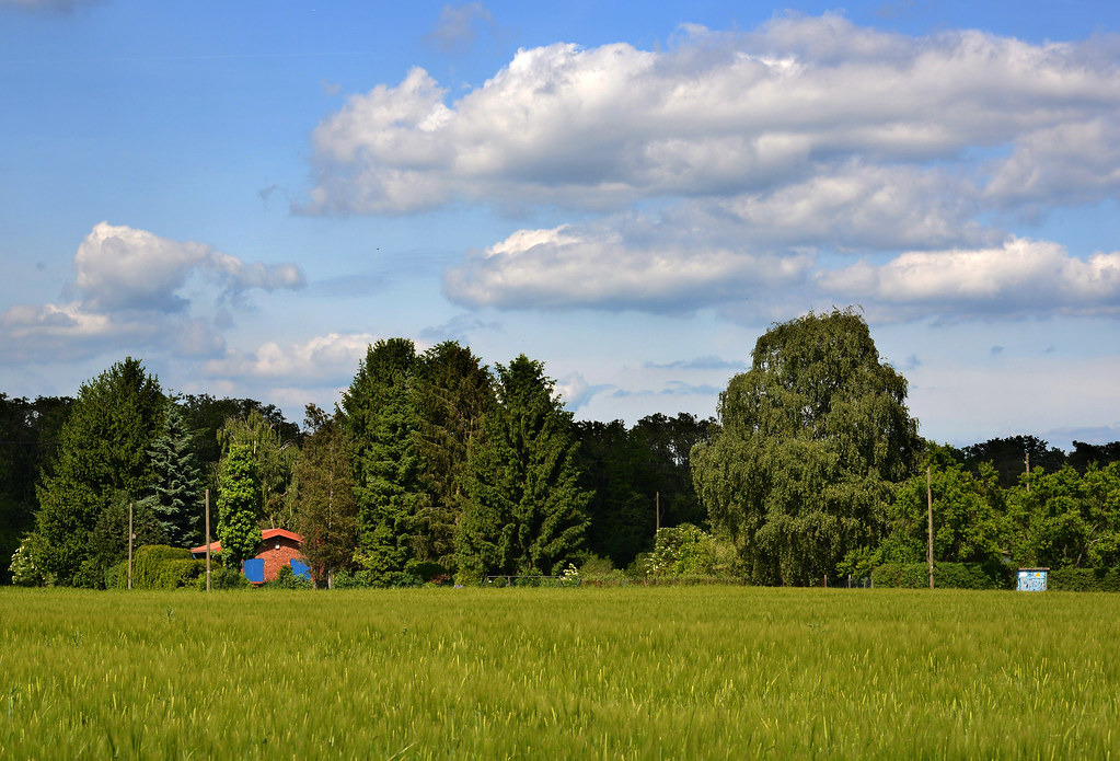 14019626309_02a0d68df8_b.jpg
