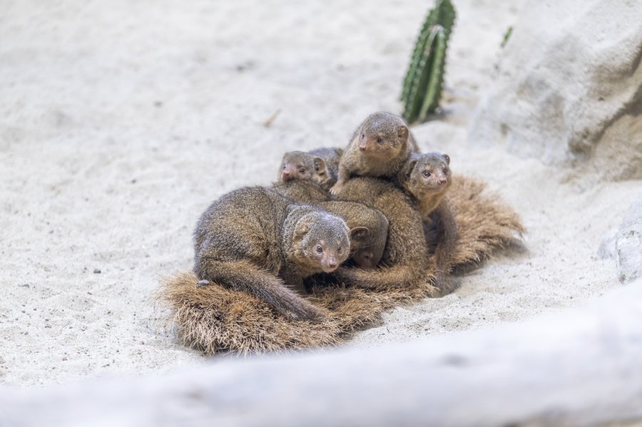 zoovienna23_02.jpg