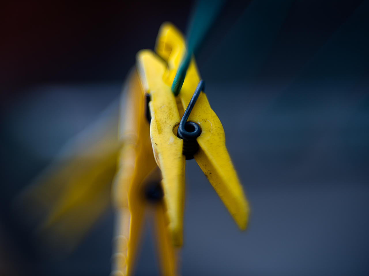 29004386fd.jpg