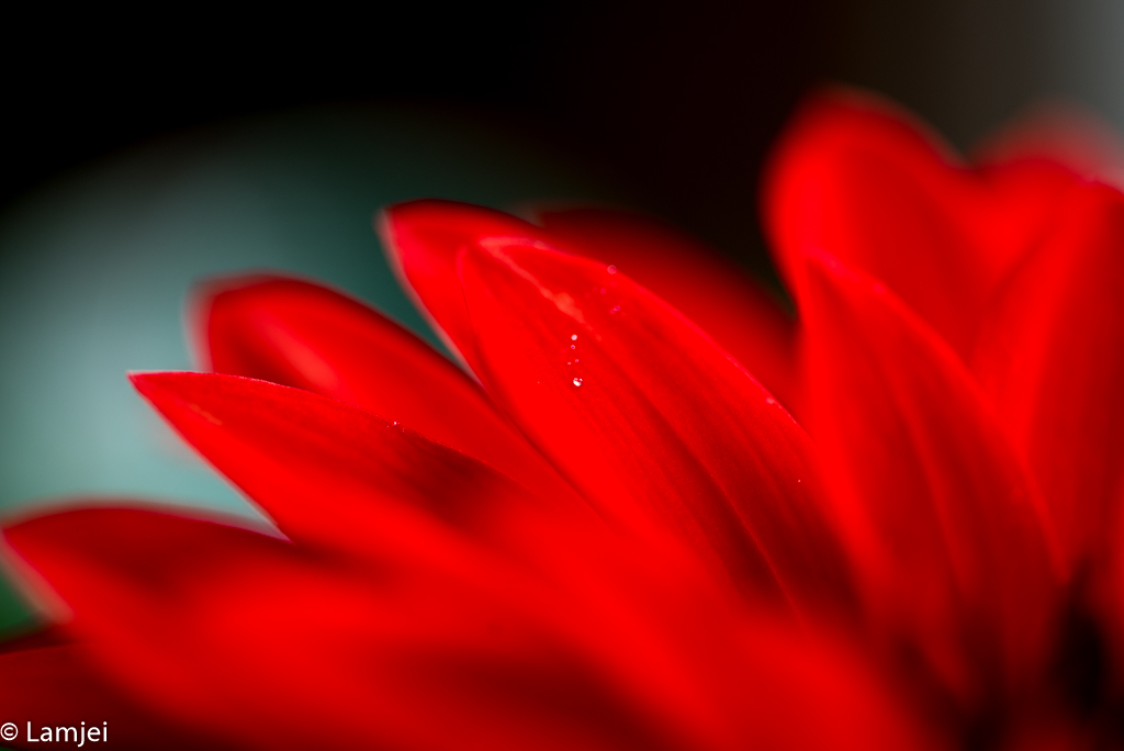 RWN_2479.jpg