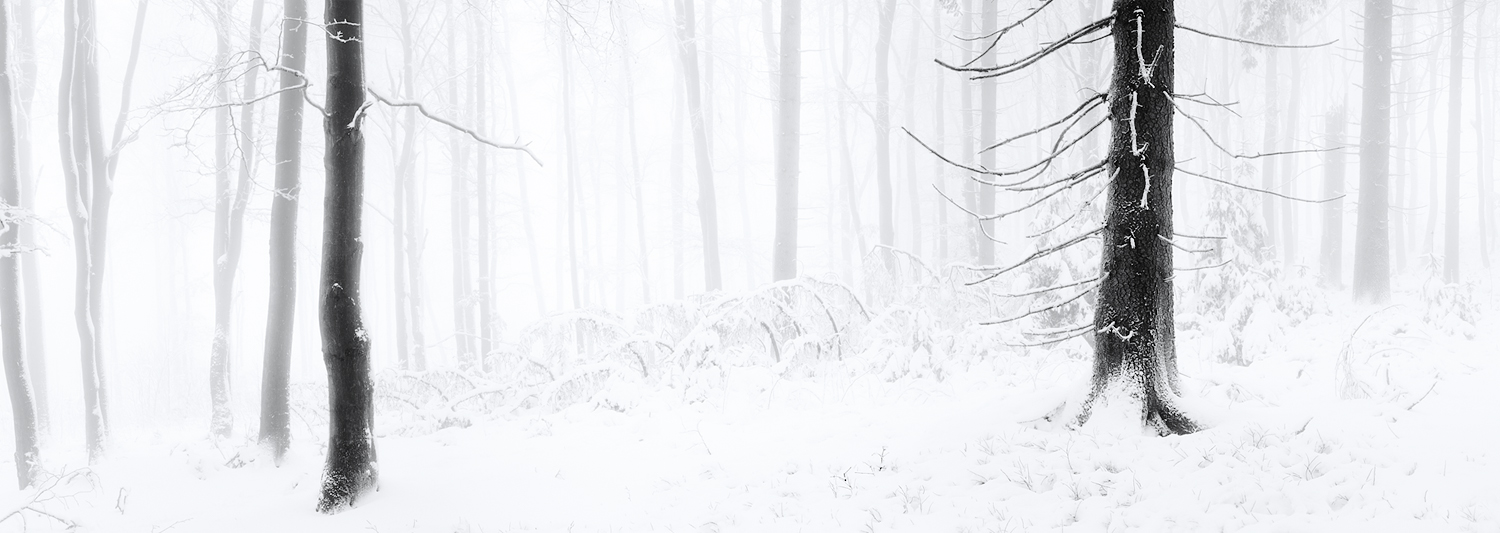 winter_forest_by_mescamesh-d4lwjoj.jpg