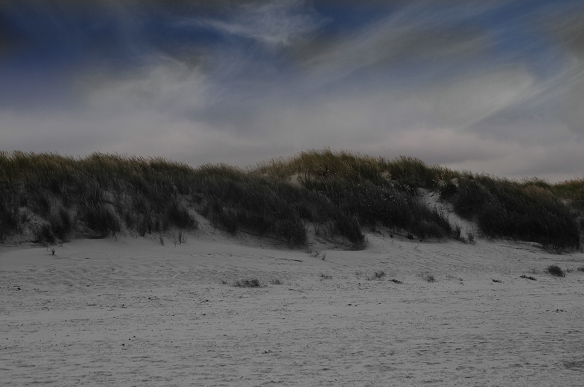 CK.R._DSC_0568_Duenen.jpg